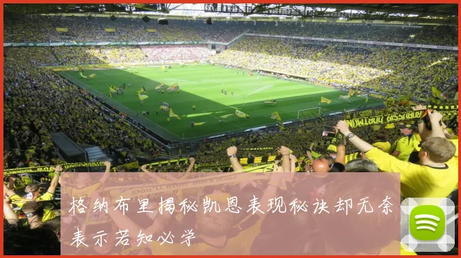 格纳布里揭秘凯恩表现秘诀却无奈表示若知必学