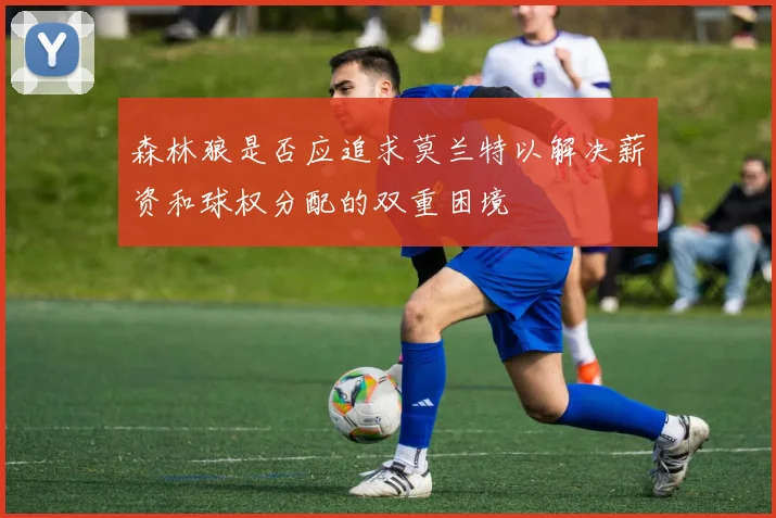 森林狼是否应追求莫兰特以解决薪资和球权分配的双重困境